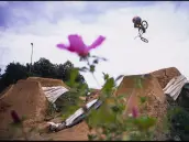 Daniel Schuhbauer Daniel Schuhbauer