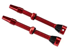Brave Tubeless Valves - 60mm Brave Tubeless Valves - 60mm