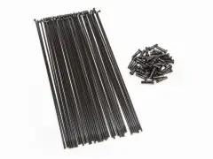 BSD "Regular" Spokes BSD "Regular" Spokes