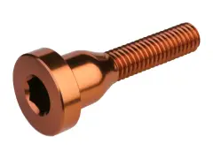 Burgtec MTB Top Cap Bolt Burgtec MTB Top Cap Bolt