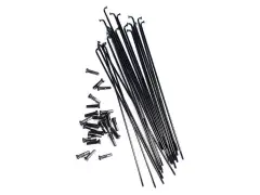 Colony "Plain Gauge" Spokes (20 pc) Colony "Plain Gauge" Spokes (20 pc)