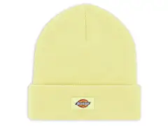 Dickies "Gibsland" Beanie - Pale Green Dickies "Gibsland" Beanie - Pale Green