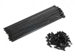 eclat "PG" Spokes eclat "PG" Spokes