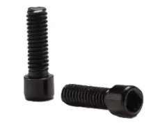 Ergon Replacement Bolts M4 x 10 mm for Lock-On Grips Ergon Replacement Bolts M4 x 10 mm for Lock-On Grips