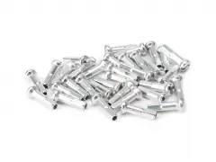 Salt "Brass" Spoke Nipples Salt "Brass" Spoke Nipples