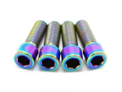 TLC Bikes "Primo Titanium" Crank Arm Pinch Bolts TLC Bikes "Primo Titanium" Crank Arm Pinch Bolts