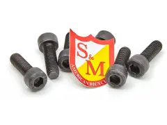 S&M Bikes "Oldschool" Stem Bolts S&M Bikes "Oldschool" Stem Bolts