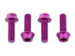 Wolf Tooth Aluminium Bottle Cage Bolts (4 pcs) Wolf Tooth Aluminium Bottle Cage Bolts (4 pcs)