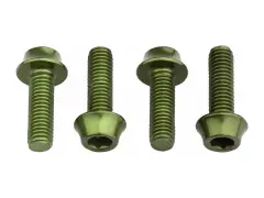 Wolf Tooth Aluminium Bottle Cage Bolts (4 pcs) Wolf Tooth Aluminium Bottle Cage Bolts (4 pcs)