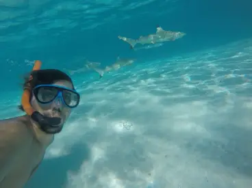 Jonas Bader - Around the world trip - Interview Jonas Bader - Around the world trip - Interview