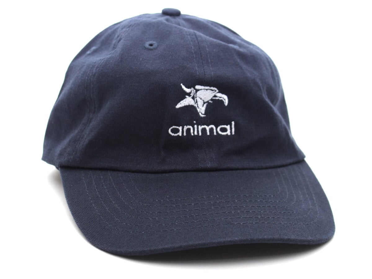 navy icon cap