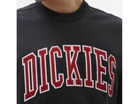 Dickies "Aitkin Sweater" Pullover - Black