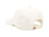 Dickies "Hardwick Snapback" Cap - Cloud