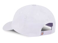 Dickies "Hardwick Snapback" Kappe - Cosmic Sky