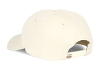 Dickies "Hardwick Snapback" Kappe - Whitecap Gray