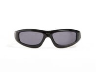 Vans "Felix" Sonnenbrille - Black