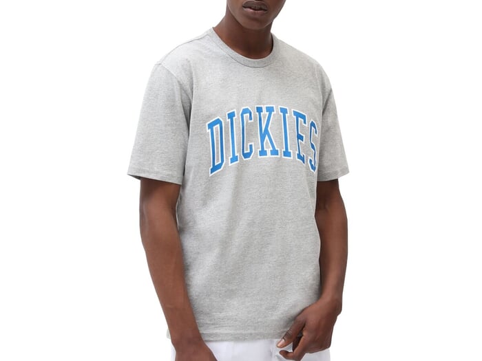 Dickies "Aitkin" T-Shirt - Grey Melange