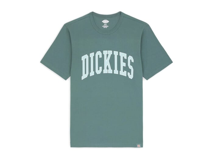 Dickies "Aitkin" T-Shirt - Lincoln Green/Surf Blue