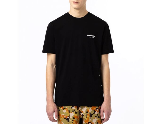 Dickies "Artondale Box" T-Shirt - Black