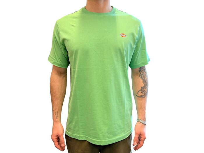 Dickies "Mapleton" T-Shirt - Apple Mint